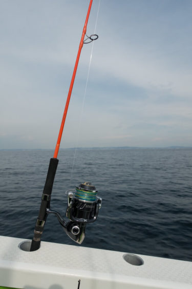 初のマグロカツオへ挑戦